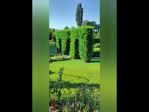 "I giardini di Zoe"  ( Banpotoc HD) , cea mai frumoasa gradina aristocrata din Romania