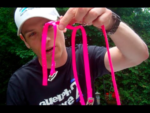 Best Way To Put Harness On A Cat (H-Style Harness)