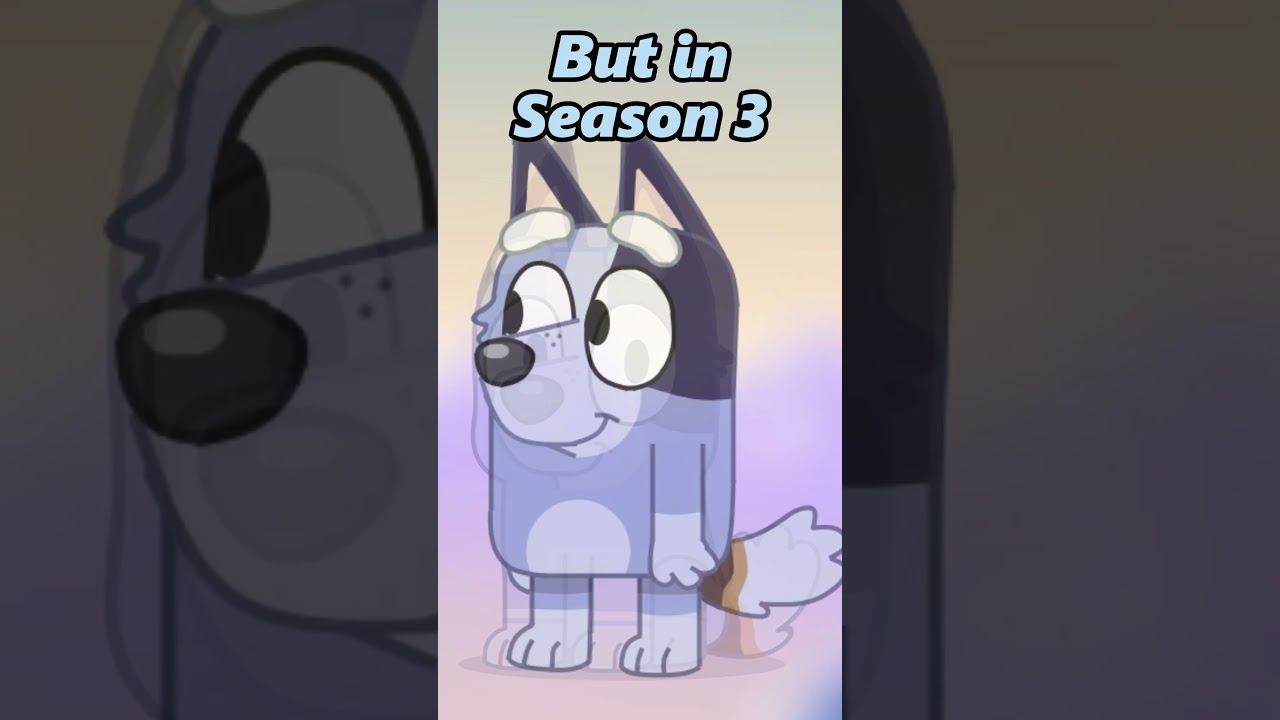 What’s Wrong With Socks?! #shorts #bluey