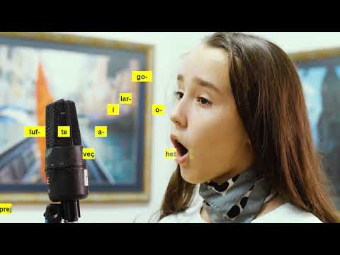 Himni Kombëtar Shqiptar "Rreth Flamurit të përbashkuar" #himniyne