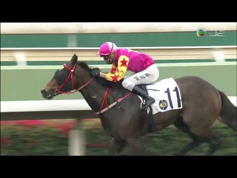 2020/21 (486) - Flying Bonus (獎金大王) - 賀銘年