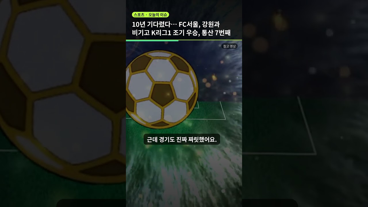 10년 기다렸다… FC서울, 강원과 비기고 K리그1 조기 우승, 통산 7번째