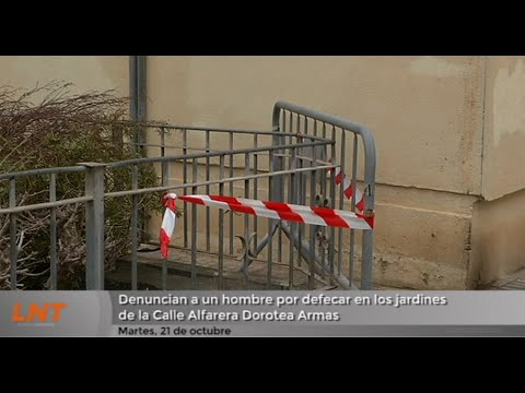Denuncian a un hombre por defecar en los jardines de la Calle Alfarera Dorotea Armas