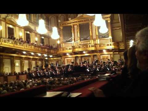 Jasminka Stancul - Wiener Symphoniker - Musikverein 2011