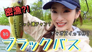 【ブラックバス】緊急企画！人生初ブラックバスに挑戦してきましたっよ