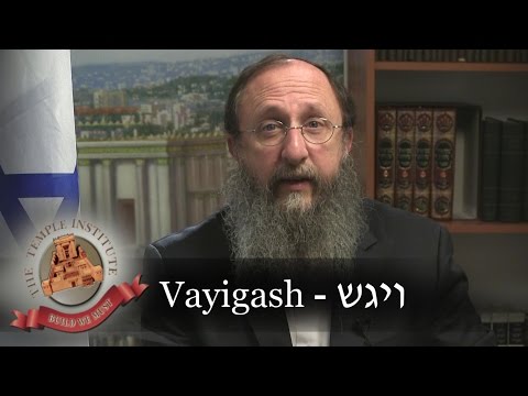 Weekly Torah Portion: Vayigash