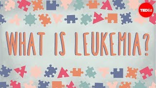 What is leukemia? - Danilo Allegra and Dania Puggioni