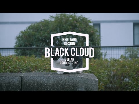 BC SESSIONS #010 - "Isn't She Lovely"