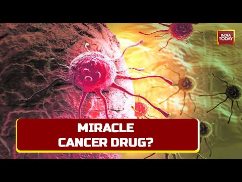 First Time In History, Cancer Vanishes From Every Patient In Drug Trial