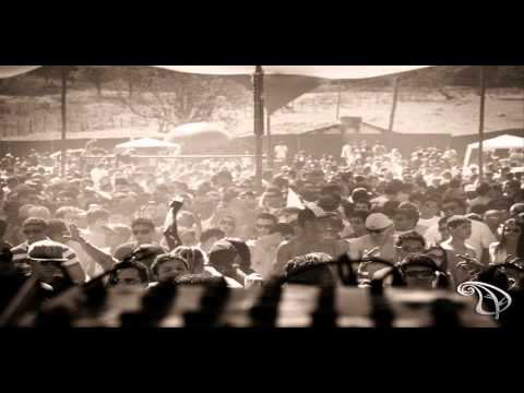 Vibe Tribe vs Ziki  - Chemical Reaction