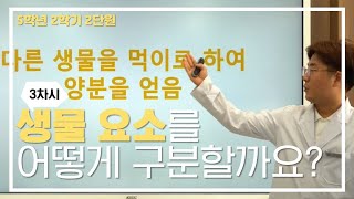 [초등과학, 실험, 인강] 5학년 2학기 2단원 3차시 생물요소를 어떻게 분류할 수 있을까요?