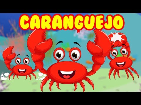Caranguejo peixe é - Roda Roda Roda - 30 Minutos de Música Infantil - Canções Populares