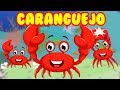 Caranguejo Peixe é Roda Roda Roda 30 Minutos De Música Infantil Canções Populares