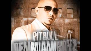 DJ Noodles feat. Pitbull - "Dem Miami Boyz"