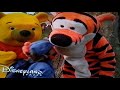 Nalle Puhs Vänskapsdagar 2001 VHS Reklam