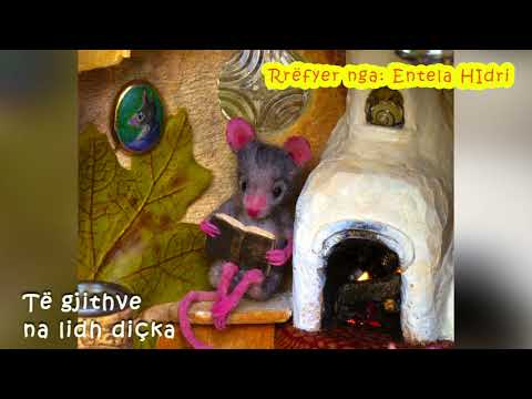 Tregimet e natënemirës (4) - Të gjithve na lidh diçka