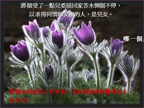 哪一個是