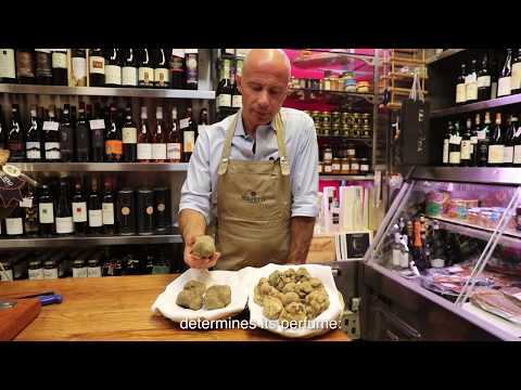 Volpetti - Le 4 cose da sapere sul Tartufo bianco