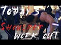 [이승철] 오늘의 어깨 운동 / Shoulder work out