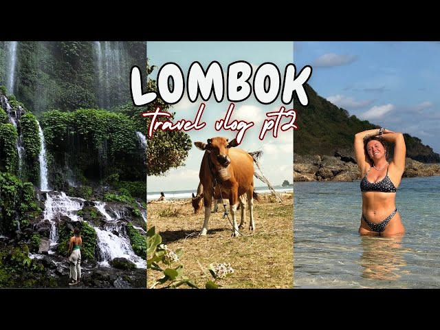 Travel vlog - Lombok Travel Vlog | Tampah Beach, Waterfalls, Monkey Forest & More! 🌴
