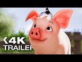 CHARLOTTE S WEB Trailer 2025