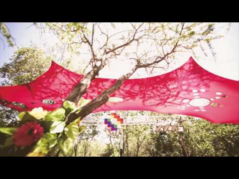 WOODSTACO 2015 - ZIDDHARTA