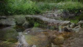 Cécile CORBEL - Ma Zat