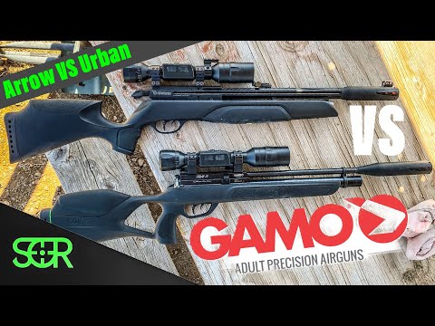 Gamo Arrow VS Gamo Urban - PCP showdown of the ULTIMATE BUDGET AIRGUN