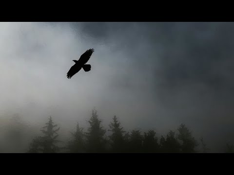 Le Conseil de Guerre | French Folk Music Orchestral Arrangement