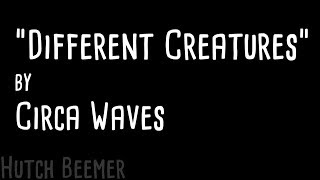 Circa Waves - Different Creatures Lyrics