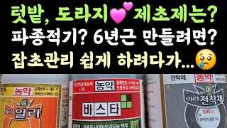 텃밭, 도라지