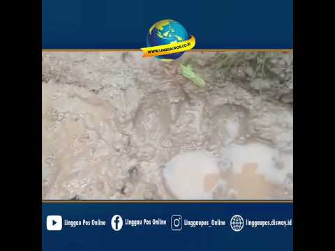 Penampakan Jejak yang Ditemukan Warga di Jalan ke Kebun 