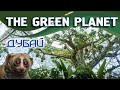 Отзыв о Green Planet Dubai
