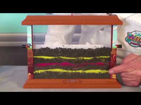 WS027 Worm Farm Reduced Version