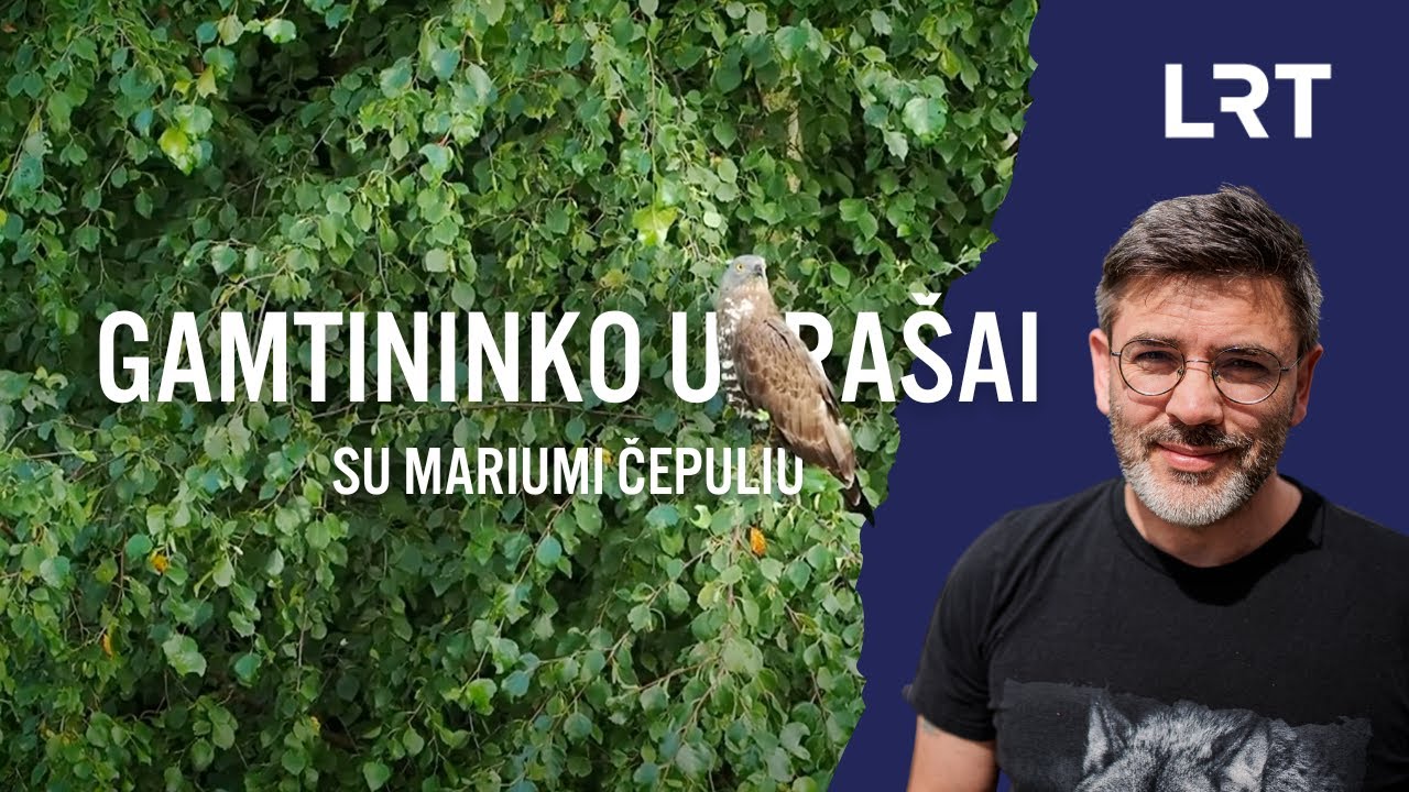 Gamtininko užrašai. Išskrendančias gerves su ašaromis palydėjęs Čepulis