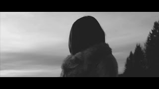 Video From Insight - Don't Want To See (Lyric Video)
