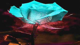 Brenda Lee - Flowers On The Wall 1966