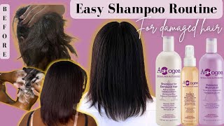 HOW TO USE APHOGEE PRODUCTS - EASY SHAMPOO TREATMENT ROUTINE for DAMAGE HAIR