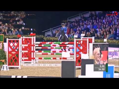 DOMINATOR Z: Zangersheide stallion by Diamant de Semilly, www.equine-evolution.com