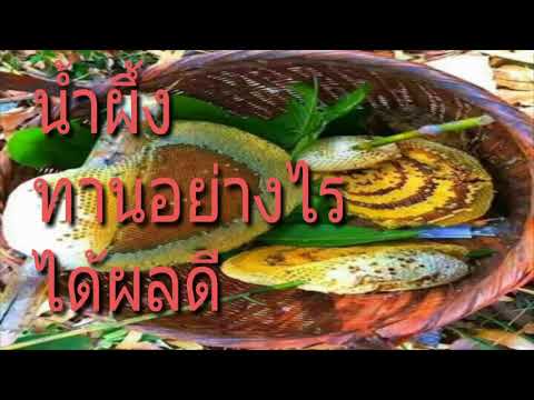 นำสาวขนดกสวยงาม ไข่ที่มีความอ่อนแอ