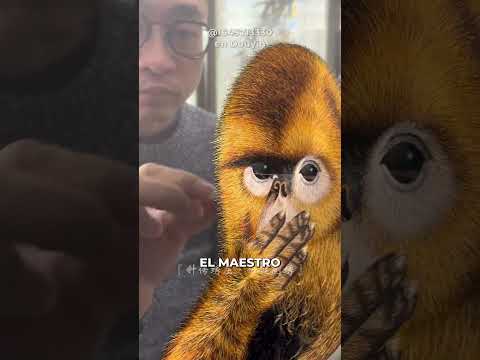 El arte sacro andaluz se moviliza contra los bordados cofrades ‘low cost’ paquistaníes: “Es una cuestión de identidad”