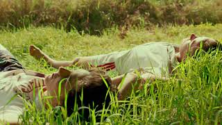 Sigrid - I Don&#39;t Want to Know (tradução/legendado)