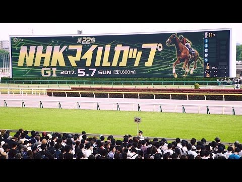 2017.05.07NHKマイルカップ(G1)レース直前のターフビジョン＠東京競馬場