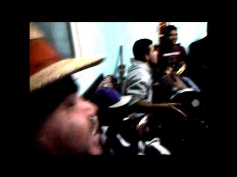 Ensaio Pagode Alternativa