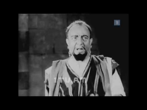 Մի շուն տաճիկ