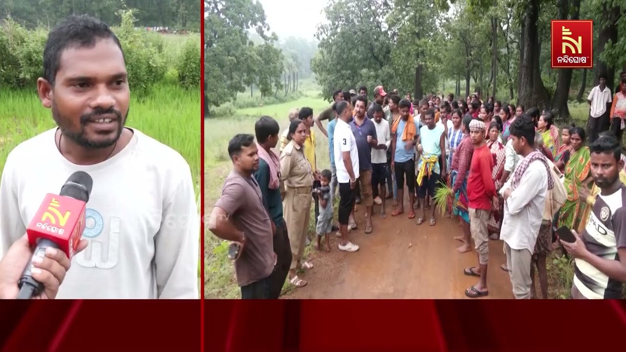 ସମ୍ବଲପୁରରେ ମାତିଛନ୍ତି ହାତୀ | NandighoshaTV