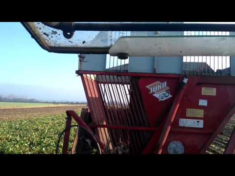 Juko 100 beet harvester