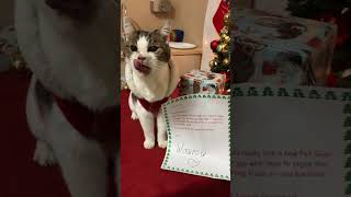 #cat writes letter to #santa🎅🏼