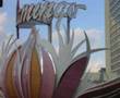 Viva Las Vegas -Elvis Presley- 