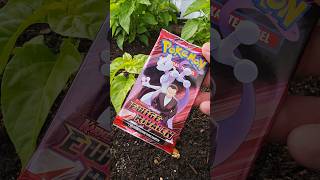 👉 Pokémon mit Chili 🌶️ #pokemon #pokemoncards #pokemontcg
